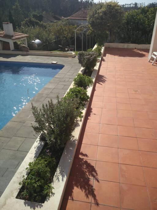 Citrus Tree House, Private Pool And Garden. Villa Angeja Kültér fotó